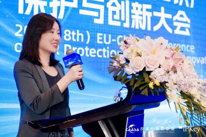 会在京成功举办! 共探数字时代知识产权治理新挑战2025(第八届)中欧互联网知识产权保护与创新大(图5)