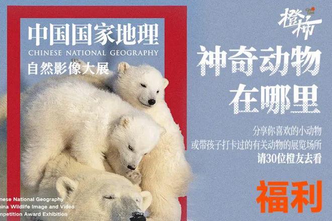 国国家地理年度自然影像大展！晒晒你喜欢的小动物请你去看中(图4)